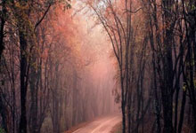 欧博官网:首战告捷!印第安维尔斯赛郑钦文战胜阿扎伦卡央视新闻客户端.