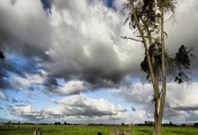 欧博官网:真假姆总?姆巴佩评自己蜡像:太逼真了,这简直就是我.