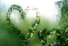 CBA季后赛四强出炉 半决赛上演辽粤大战.