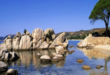 米体:米兰本轮或变阵 莱奥福法纳希门尼斯替补 菲利克斯鸭脖首发.